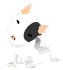 ݤݤ...